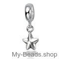 My-Beads charm Star​ Sterling Silver

This silver charm fits all common charm bracelets.
Material: Sterling Silver 925.
Includes gift packaging