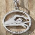 Zilveren hanger met collier van een zwemmer die borstcrawl of vrije slag wedstrijd zwemt in een zwembad. 
Mooi cadeau voor verjaardag of kerstmis.