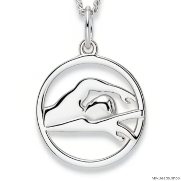 Zilveren hanger met collier van een zwemmer die borstcrawl of vrije slag wedstrijd zwemt in een zwembad. 
Mooi cadeau voor verjaardag of kerstmis.